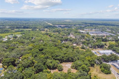 Terreno en venta en Thonotosassa, Florida № 2310645 - foto 7