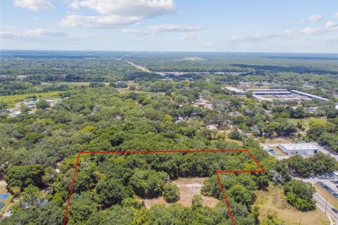 Terreno en venta en Thonotosassa, Florida № 2310645 - foto 20