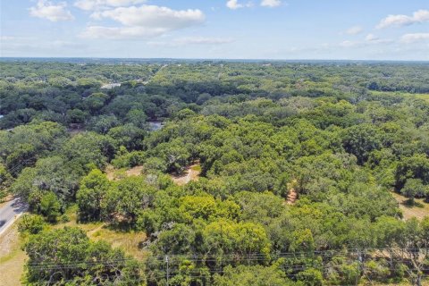 Terreno en venta en Thonotosassa, Florida № 2310645 - foto 3