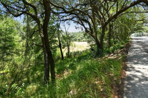 Terreno en venta en Thonotosassa, Florida № 2310645 - foto 12