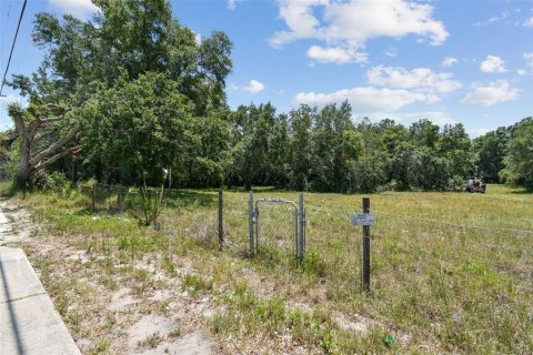 Terreno en venta en Thonotosassa, Florida № 2310645 - foto 17