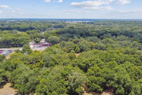 Terreno en venta en Thonotosassa, Florida № 2310645 - foto 4
