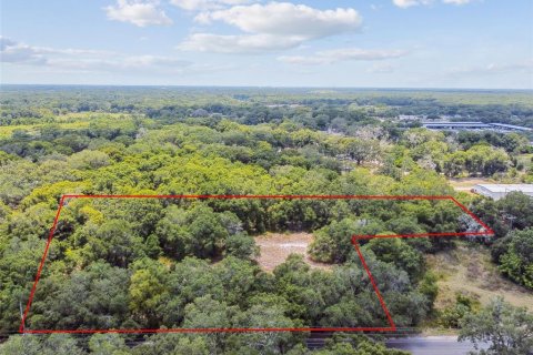 Terreno en venta en Thonotosassa, Florida № 2310645 - foto 21