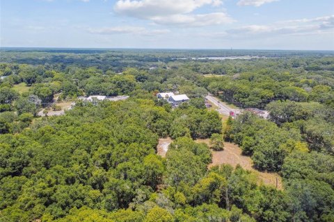Terreno en venta en Thonotosassa, Florida № 2310645 - foto 5