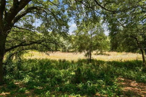 Terreno en venta en Thonotosassa, Florida № 2310645 - foto 13