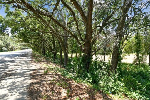 Terreno en venta en Thonotosassa, Florida № 2310645 - foto 11