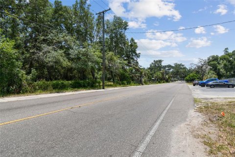 Terreno en venta en Thonotosassa, Florida № 2310645 - foto 18