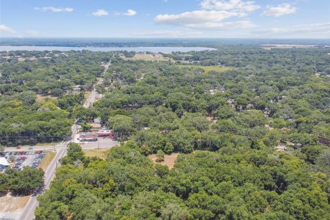 Terreno en venta en Thonotosassa, Florida № 2310645 - foto 10