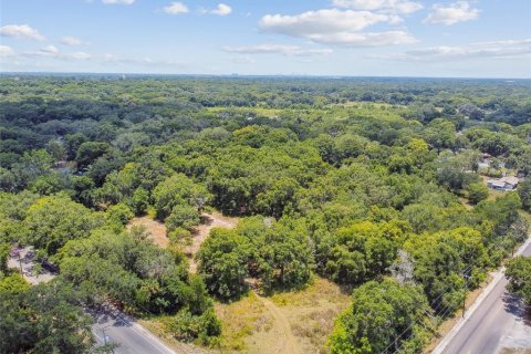 Terreno en venta en Thonotosassa, Florida № 2310645 - foto 2