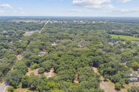 Terreno en venta en Thonotosassa, Florida № 2310645 - foto 9
