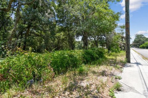 Terreno en venta en Thonotosassa, Florida № 2310645 - foto 14
