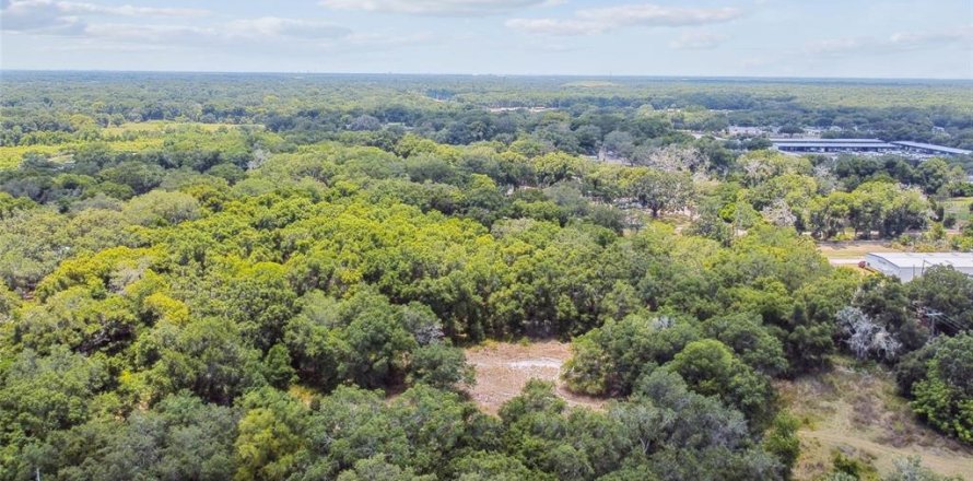 Terreno en Thonotosassa, Florida № 2310645