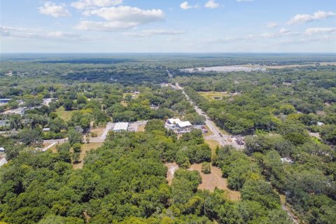 Terreno en venta en Thonotosassa, Florida № 2310645 - foto 6
