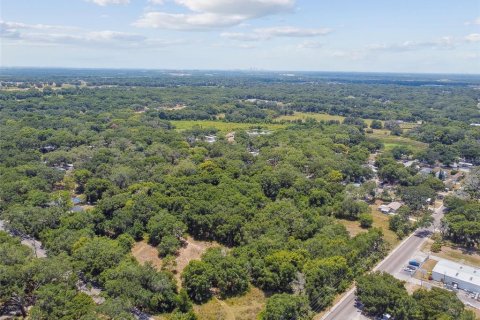 Terreno en venta en Thonotosassa, Florida № 2310645 - foto 8