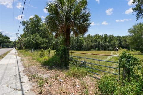 Terreno en venta en Thonotosassa, Florida № 2310645 - foto 16