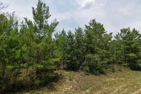 Land in Chipley, Florida № 2162666