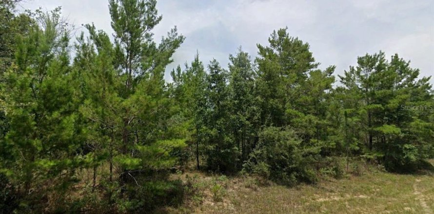 Land in Chipley, Florida № 2162666