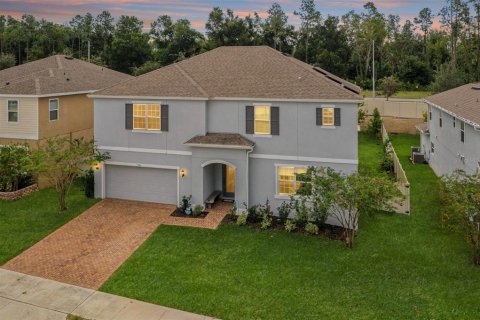 Villa ou maison à Minneola, Floride 5 chambres, 304.07 m2 № 2416790