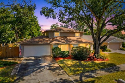 Casa en Tampa, Florida 5 dormitorios, 196.21 m2 № 2145560