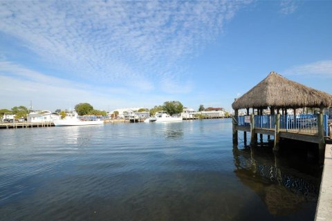 Casa en venta en Tarpon Springs, Florida, 2 dormitorios, 102.38 m2 № 1742957 - foto 17