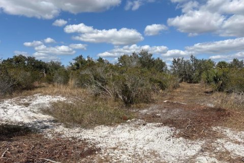 Immobilier commercial à Okeechobee, Floride № 2390154
