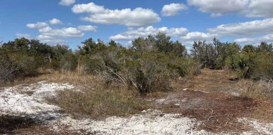 Immobilier commercial à Okeechobee, Floride № 2390154