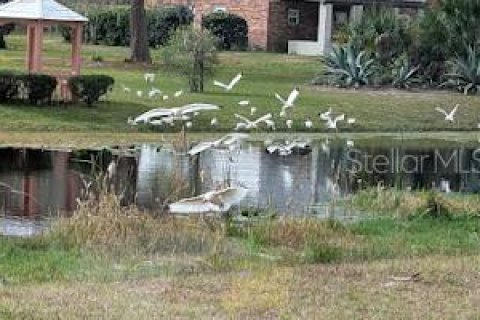 Casa en alquiler en Wildwood, Florida, 3 dormitorios, 264.59 m2 № 1837187 - foto 28