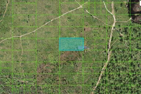 Terreno en Lake Wales, Florida № 2202836