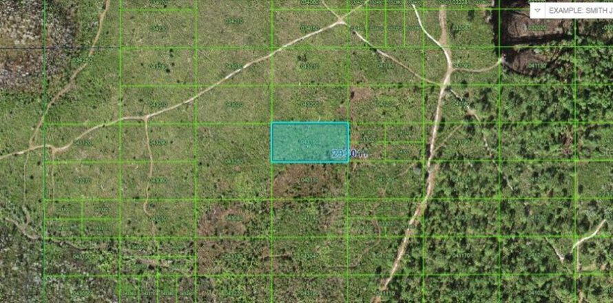 Terreno en Lake Wales, Florida № 2202836