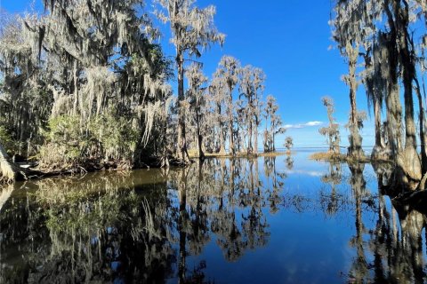 Terrain à Melrose, Floride № 2221836