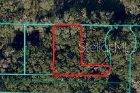 Land in Ocala, Florida № 2213408