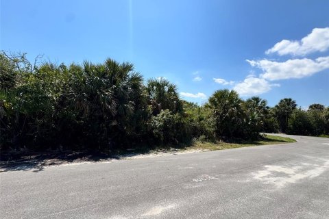 Land in Palm Bay, Florida № 2161437 - photo 2