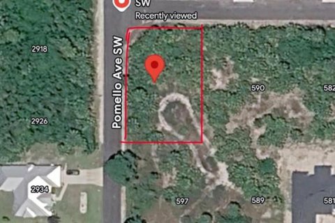 Land in Palm Bay, Florida № 2161437 - photo 5