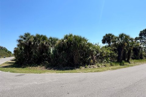 Land in Palm Bay, Florida № 2161437 - photo 4