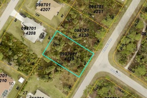 Land in North Port, Florida № 1449136 - photo 2