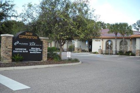Immobilier commercial à louer à Land O' Lakes, Floride: 1794.5 m2 № 1251119 - photo 5