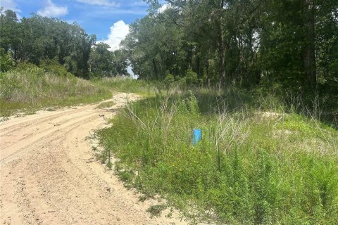 Land in Inverness, Florida № 2164055 - photo 2