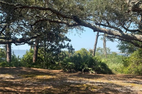 Villa ou maison à vendre à Eastpoint, Floride: 3 chambres, 168.8 m2 № 2206035 - photo 5
