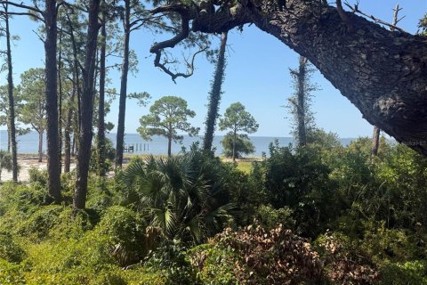 Villa ou maison à vendre à Eastpoint, Floride: 3 chambres, 168.8 m2 № 2206035 - photo 7