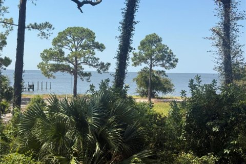 Villa ou maison à vendre à Eastpoint, Floride: 3 chambres, 168.8 m2 № 2206035 - photo 6