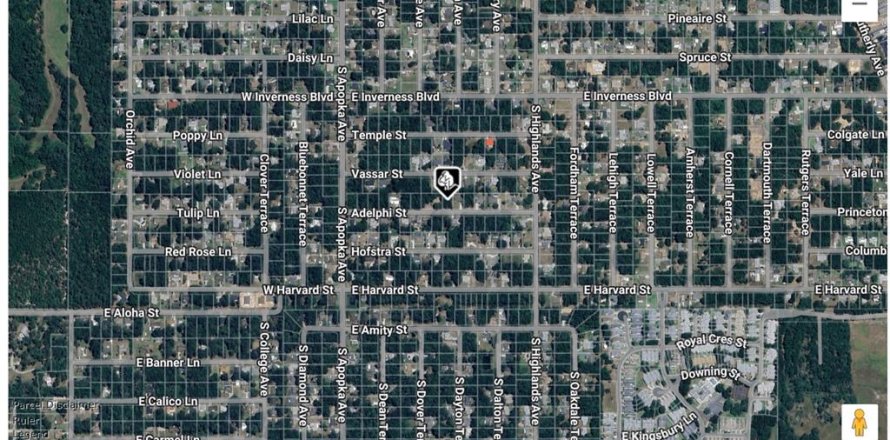 Land in Inverness, Florida № 2164256
