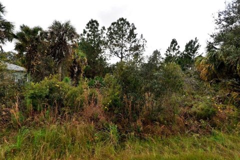 Land in North Port, Florida № 2161506 - photo 3