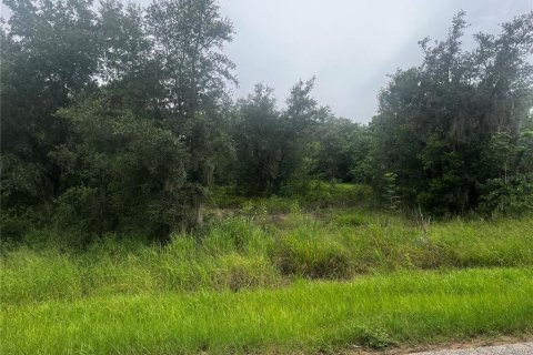 Terreno en venta en Babson Park, Florida № 2209769 - foto 5