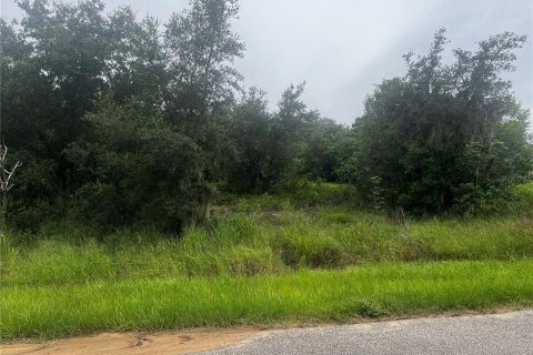 Terreno en venta en Babson Park, Florida № 2209769 - foto 4