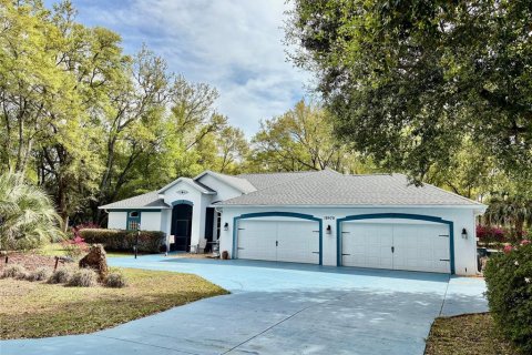 Villa ou maison à Dunnellon, Floride 3 chambres, 193.7 m2 № 2097113