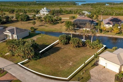 Land in Punta Gorda, Florida № 2210881 - photo 3