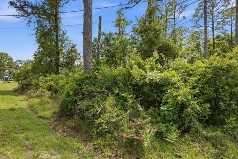 Land in DeLand, Florida № 2159145 - photo 5