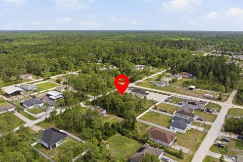 Land in DeLand, Florida № 2159145 - photo 4