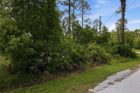 Land in DeLand, Florida № 2159145 - photo 6
