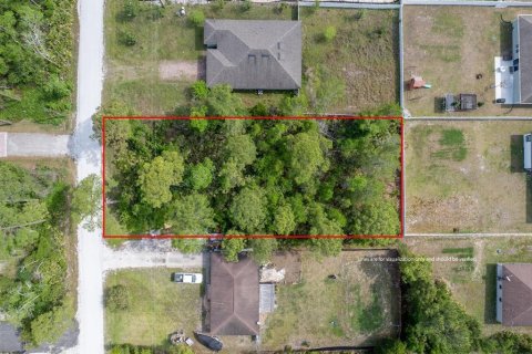 Land in DeLand, Florida № 2159145